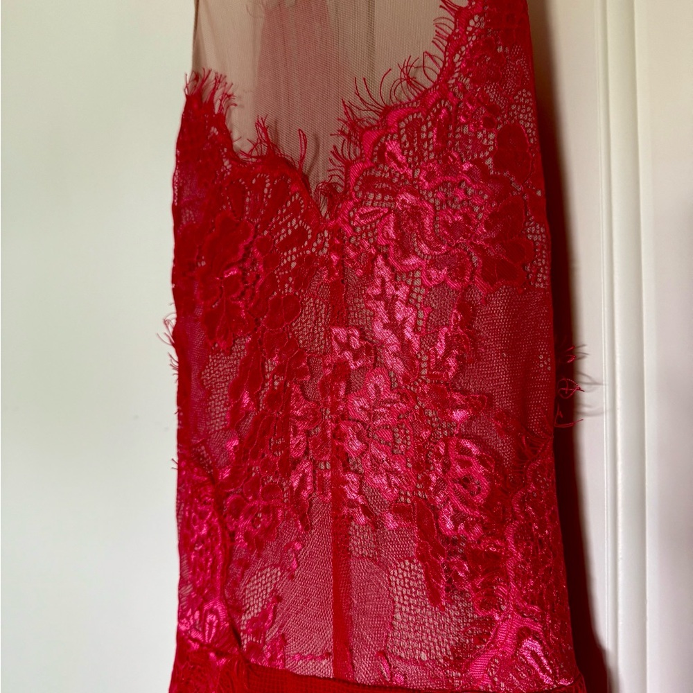 NWT Luxxel Red and Pink romantic lace Dress size L - Picture 2 of 7